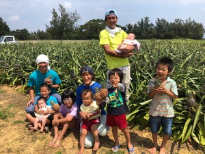 【リニューアル!】野菜計画の"濃い味"野菜箱大盛り　