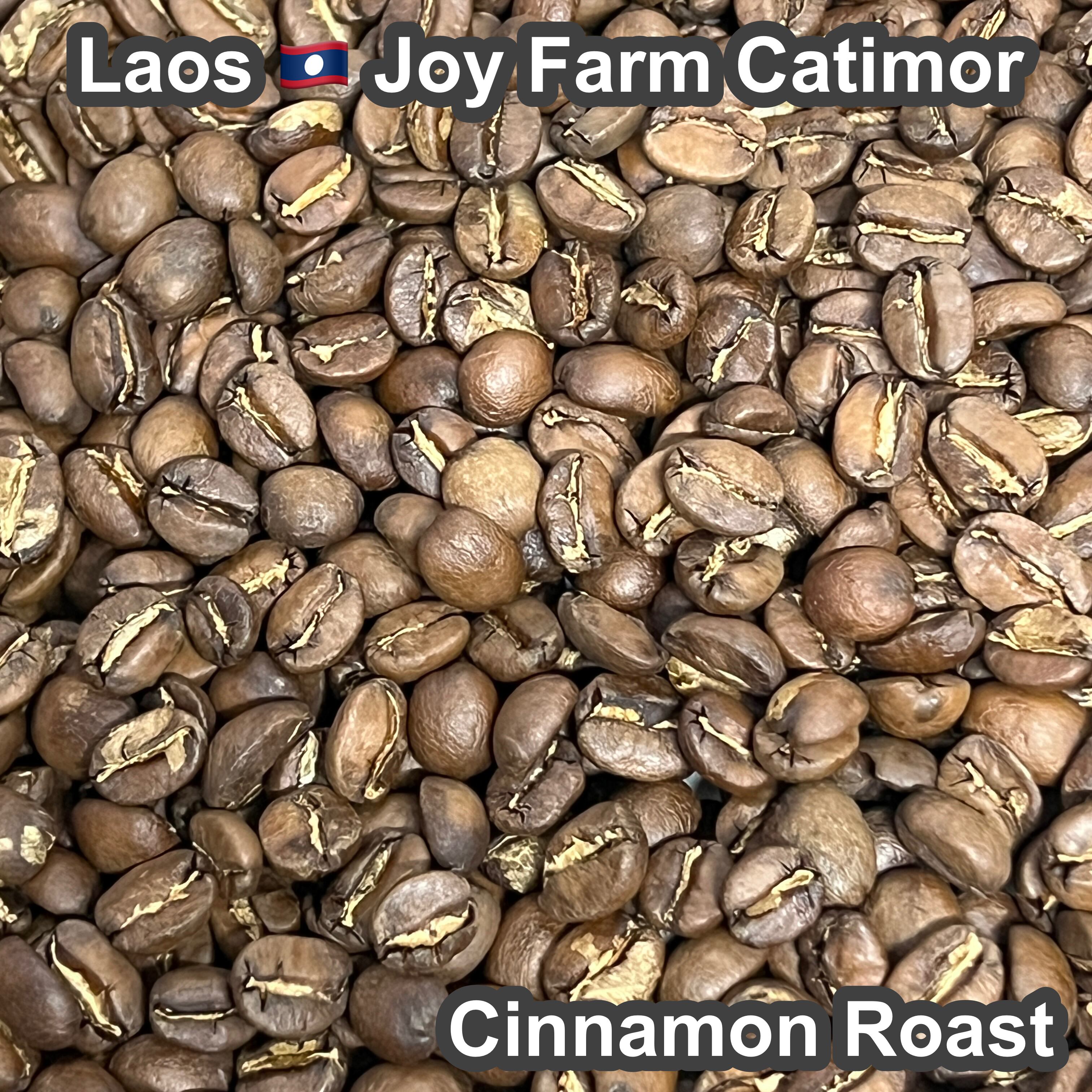 Laos Joy Farm Catimor（ラオス ジョイ農園 カティモール）100g 【受注