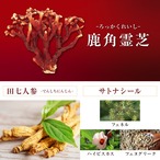 麗 -うるわし- MT　お試し商品