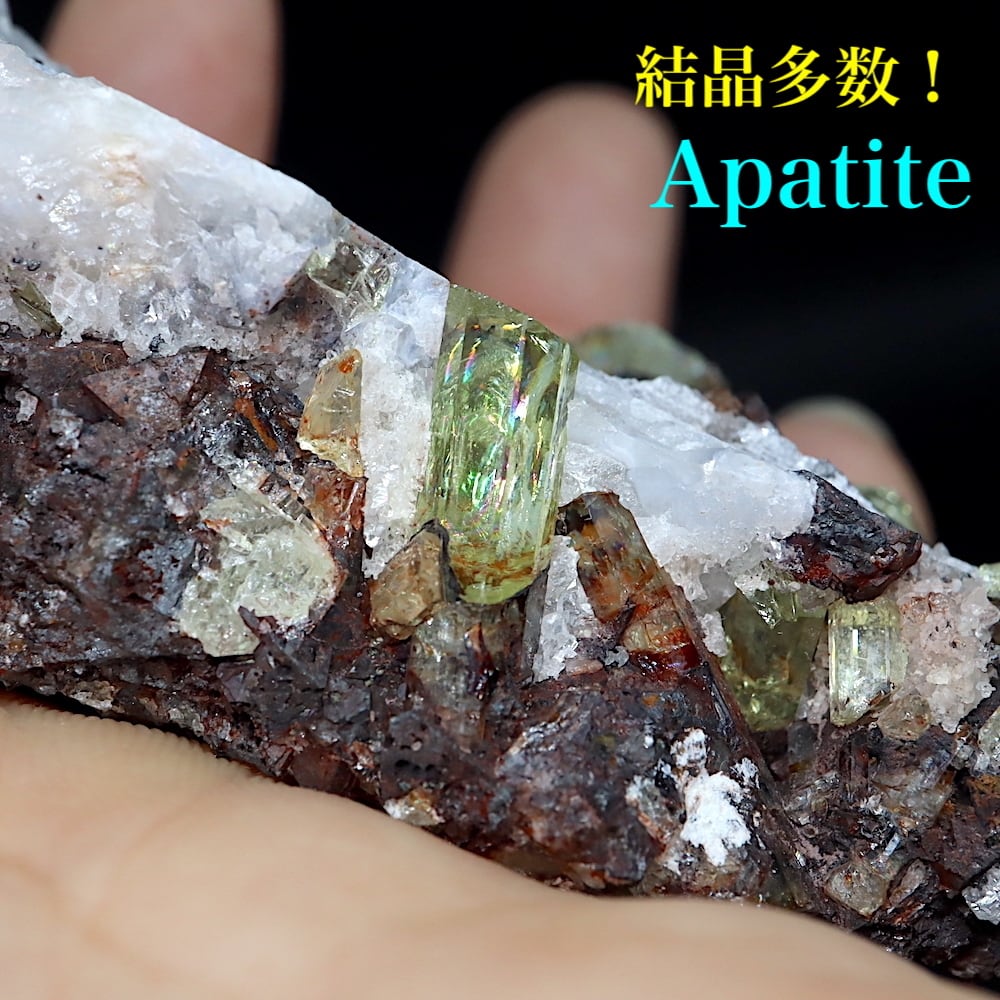 鉱物標本 パープルアパタイト フッ素燐灰石 宝石質 アフガニスタン産-