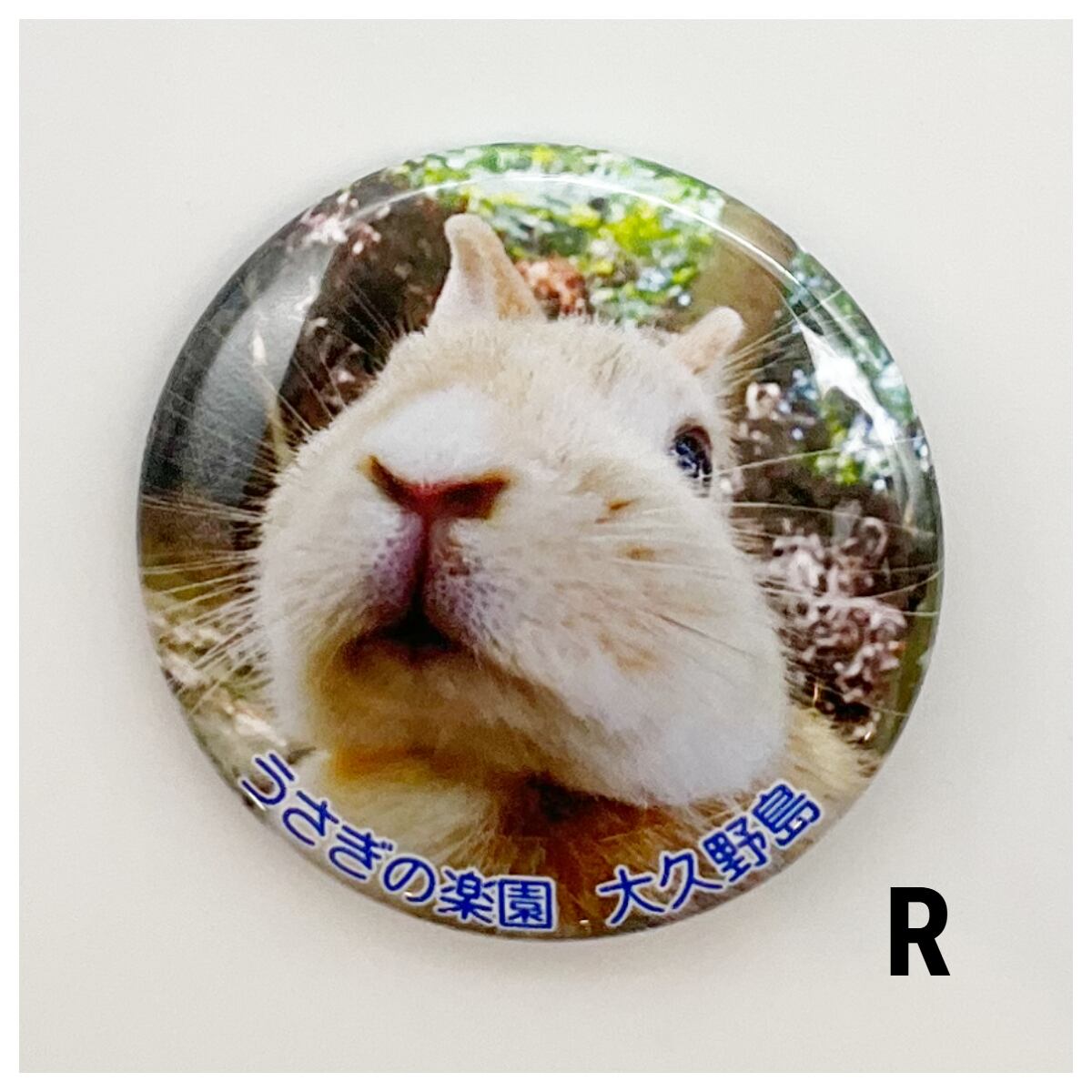 大久野島うさぎ 缶バッジ | うさぎセレクトショップ森音