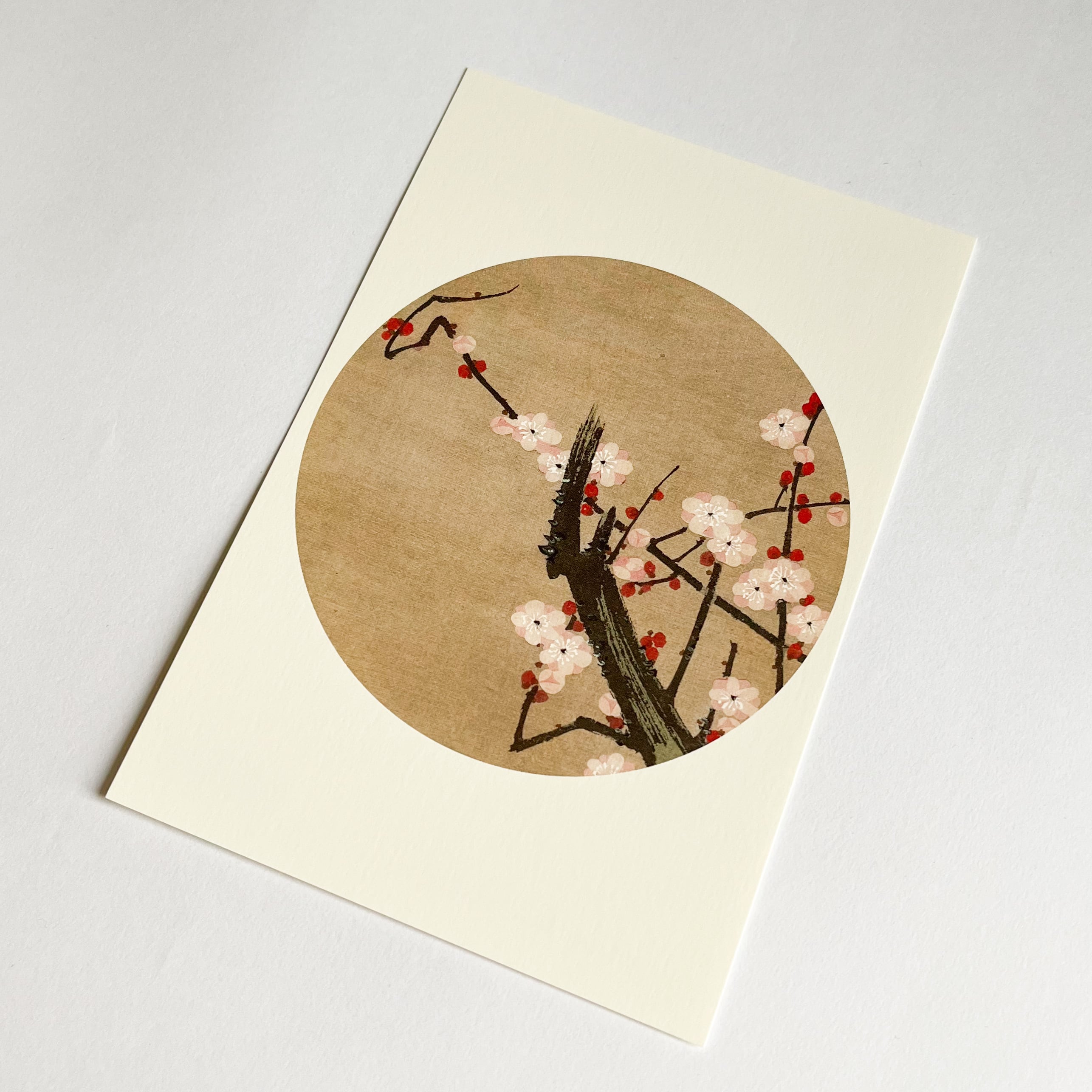 伊藤若冲 ポストカード 「花卉図天井画」梅 | hmm, by 東京都美術館