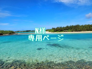 N様専用ページ