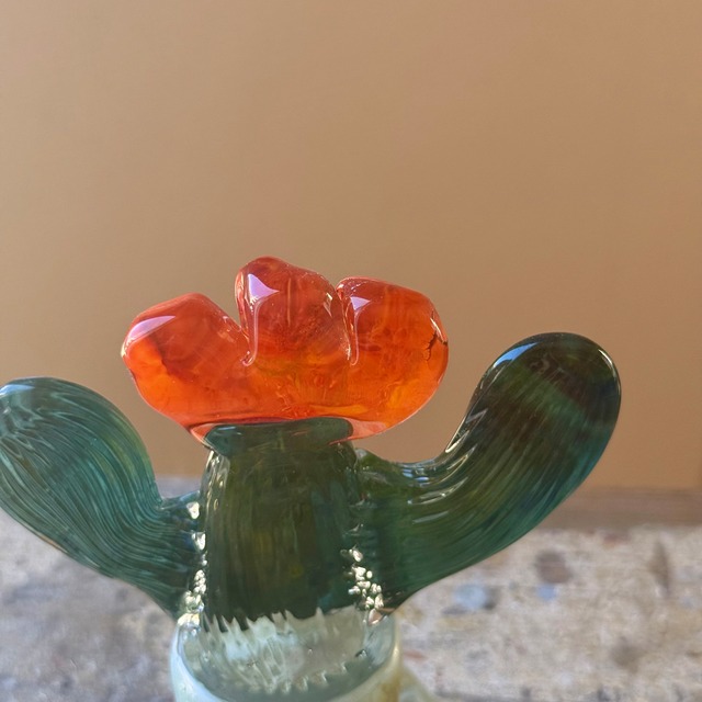 常盤 杏奈 glass plant-1