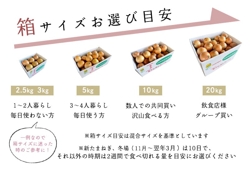 大きめ 玉ねぎ 10キロ 08 大きめ 玉ねぎ 10キロ 21 大玉10kg】淡路島産