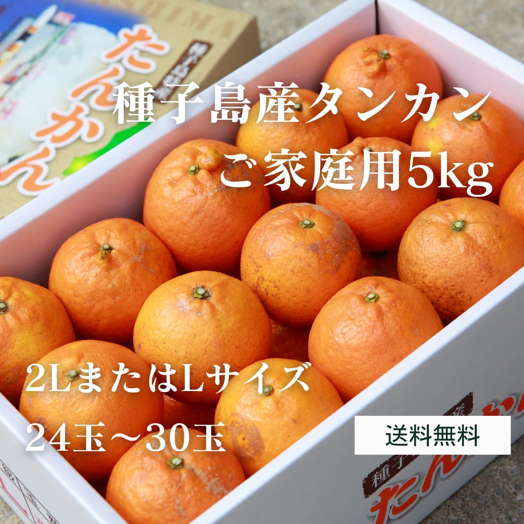 屋久島産 無農薬 たんかん 10kg 訳あり】屋久島 たんかん 10㎏ 屋久島産 無農薬 たんかん 10kg 屋久島