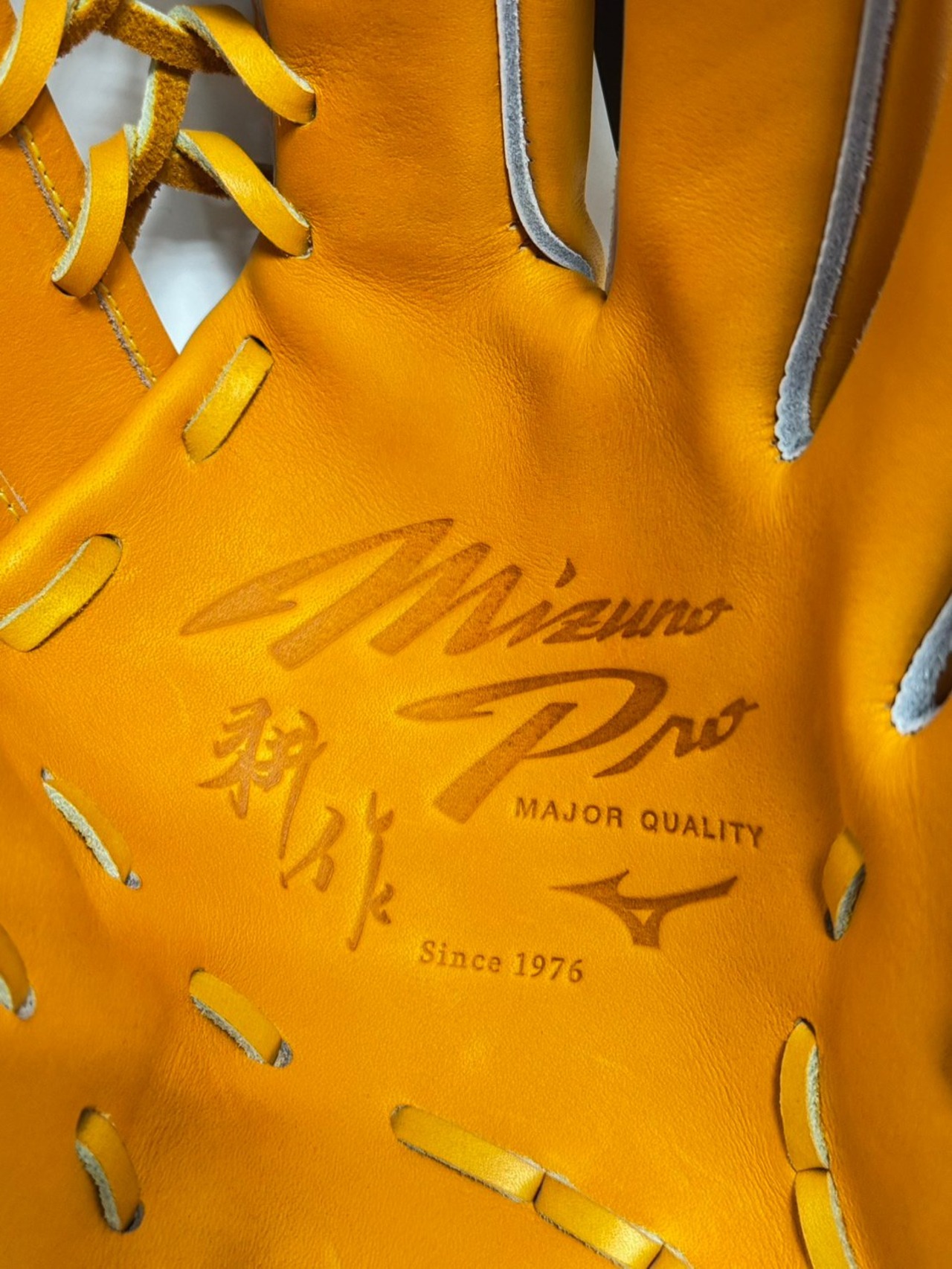 Mizuno Pro  硬式用　耕作シリーズ　外野手用・画像6