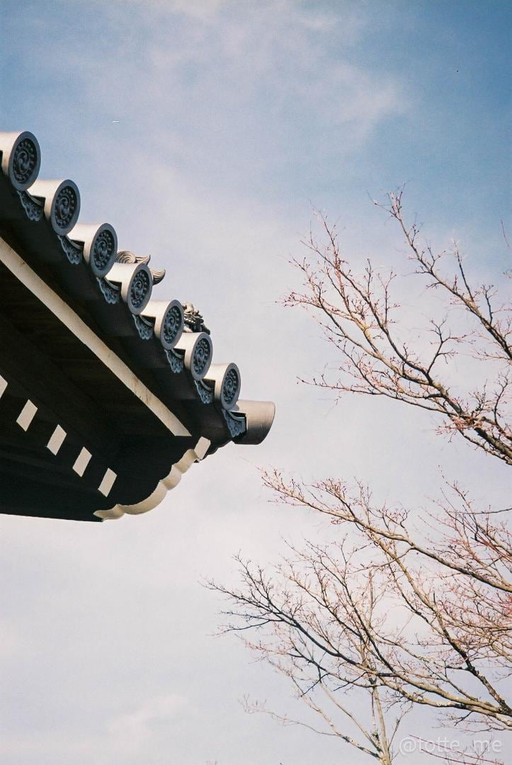 ⌘完動品！ 電池付き、作例あり！ Nikon ZOOM 700 VR⌘ NIKON ZOOM 700 VR | Totte Me Camera