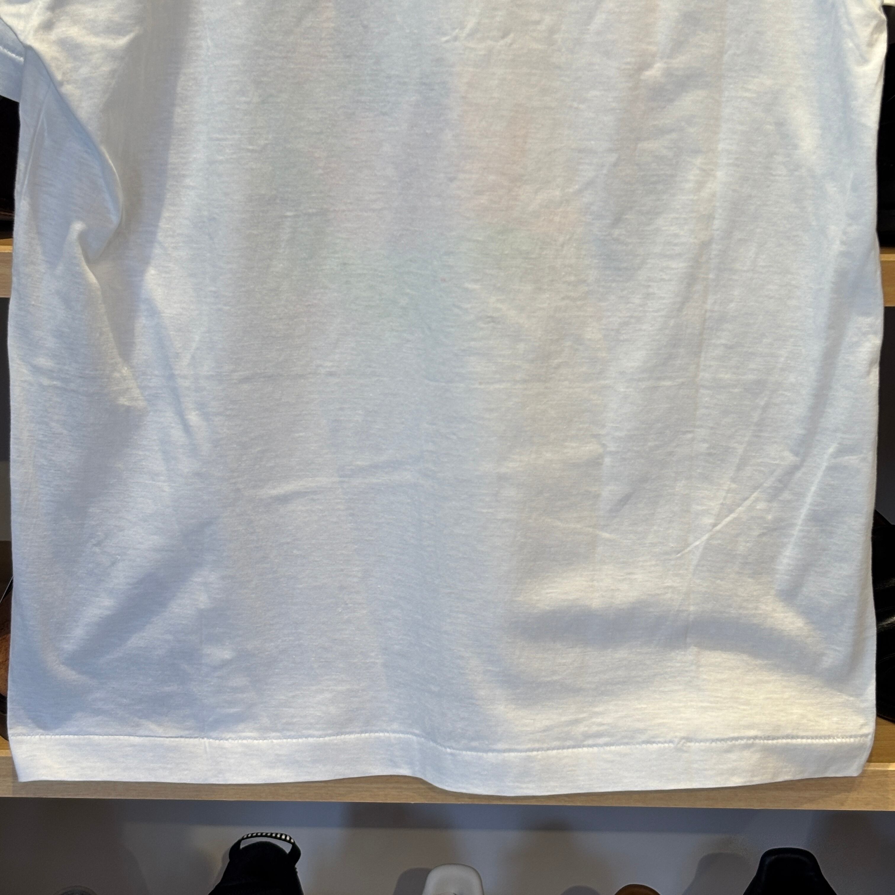 Ⓝ1990s 浮世絵 T-SHIRT | safarionline