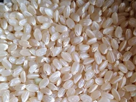 【玄米】令和7年須賀川産コシヒカリ10キロ 令和7年産 新米】福島県須賀川産コシヒカリ 玄米 10kg | 阿部農縁