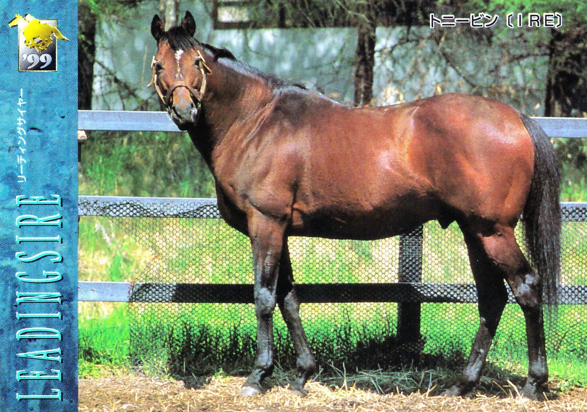 トニービン「サラブレッドカード 99年下半期」No.107 | カード