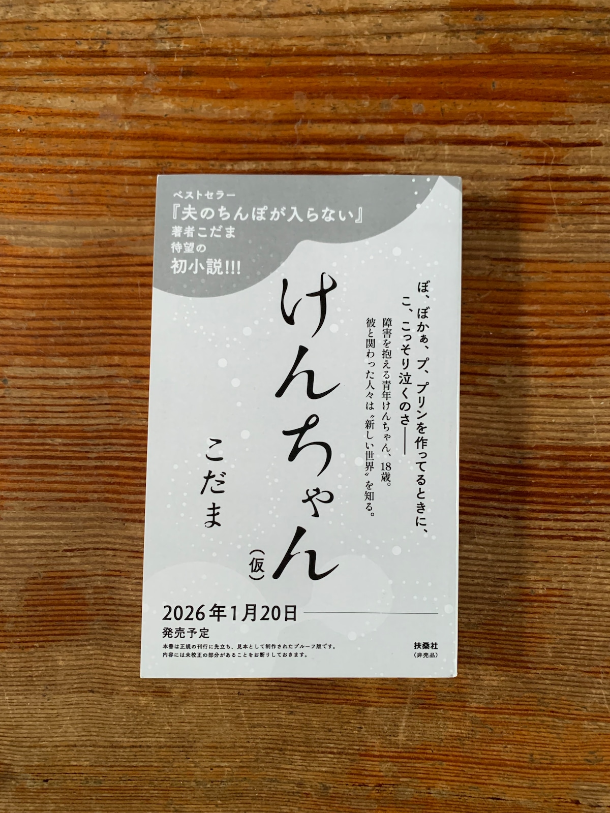 サイン本予約】こだま『けんちゃん』 | STANDARD BOOKSTORE