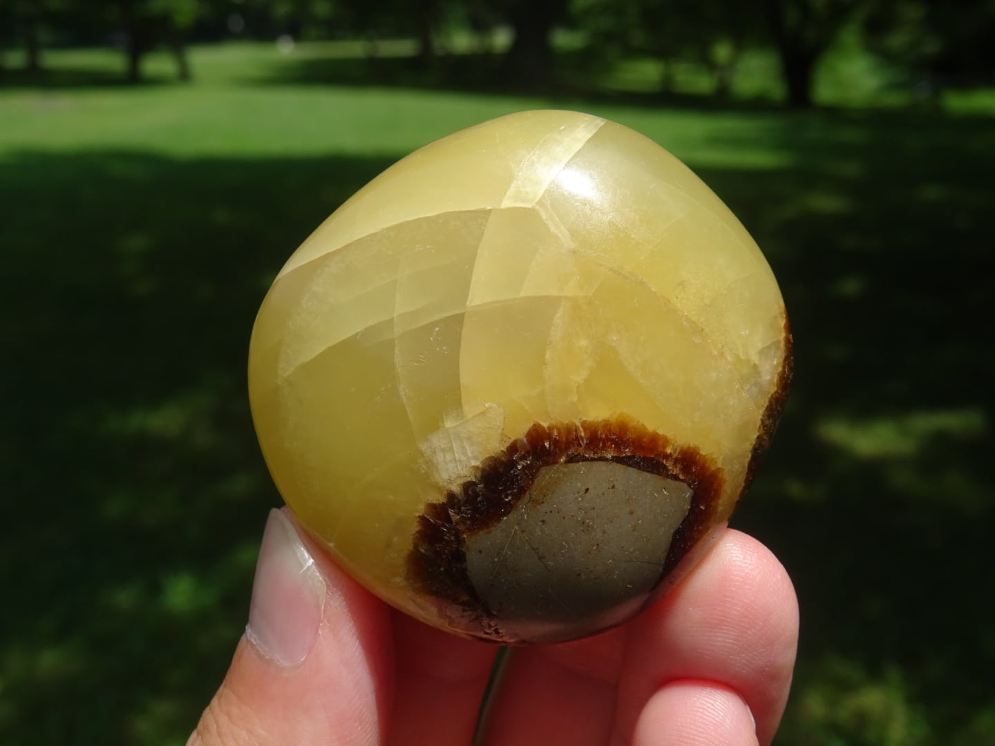 セプタリアン　原石　ドラゴンストーン　水晶 セプタリアン 原石 ドラゴンストーン 水晶 セプタリアン（ドラゴン