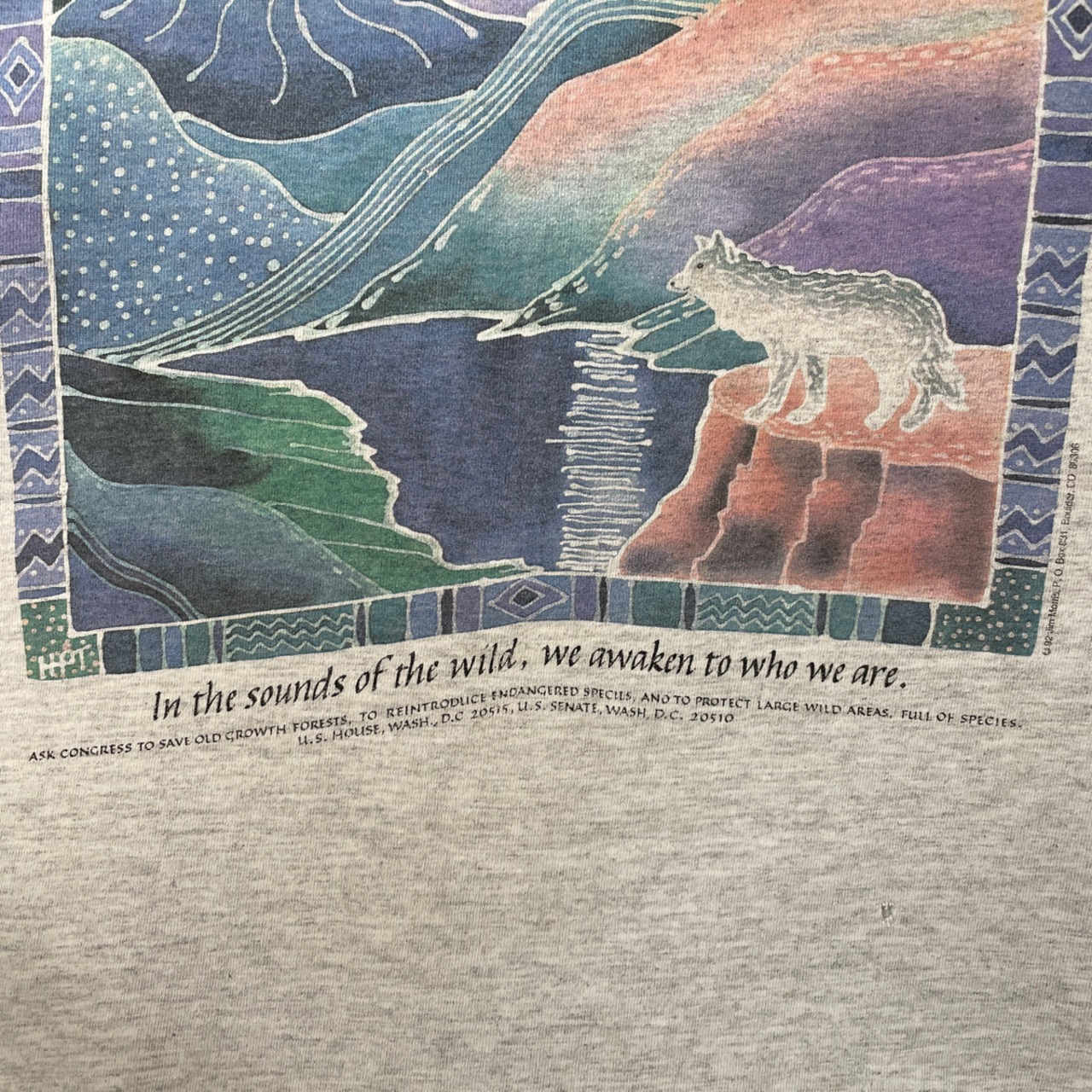 グッドグラフィック】US古着 90s JIM MORRIS アートTシャツ