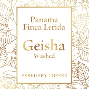 メール便　希少豆【パナマ　レリダ農園　ゲイシャ　シルバーコレクション / 浅煎り　ウォッシュト】Panama lerida Geisha silver collection/Washed