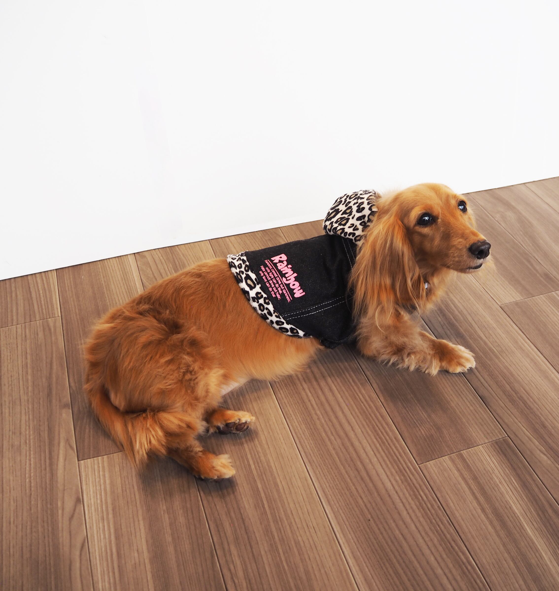 【ドッグウェア】デニムジャケット レオパード