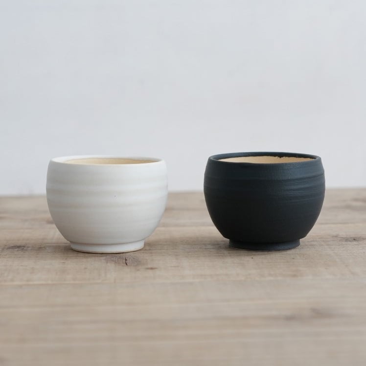 RYUSEN- (新里竜子) No,042 | Pay ID