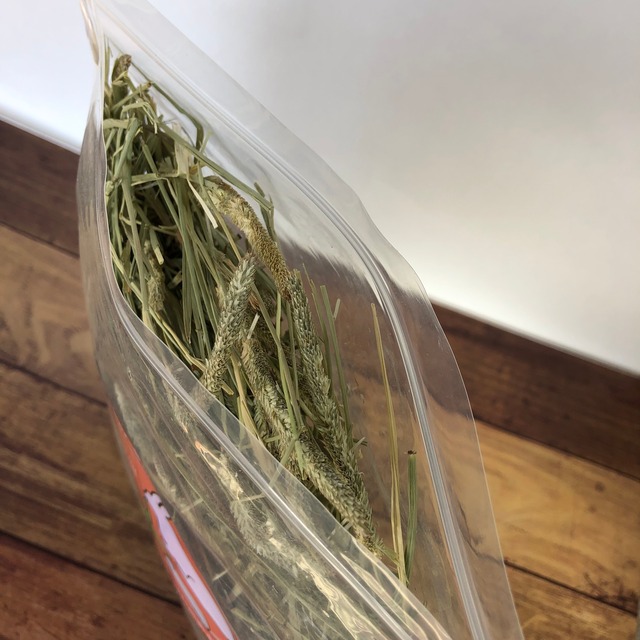 2025年刈取り　セカンドフラッシュ　お試しサイズ　カナダ産（ドライランドエリア）チモシー   100g　【送料無料】