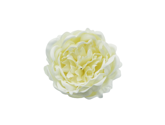 シャクヤクY-I2アイボリー（9輪入り）