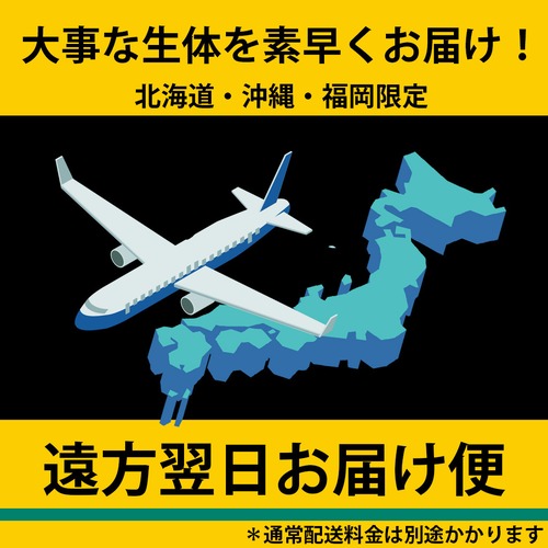 ヤマト遠方翌日お届け便
