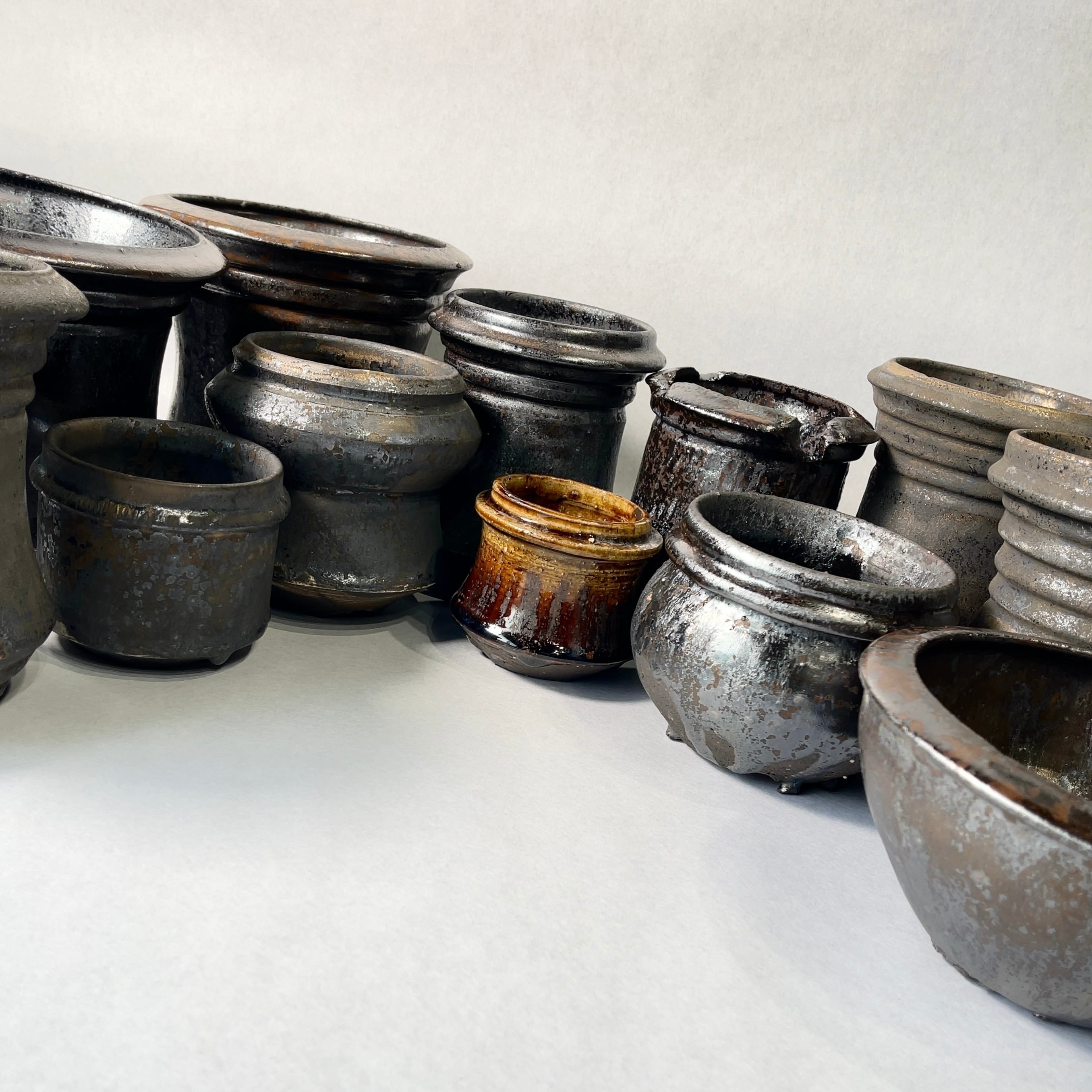 C*A様 アガベ 姫野翔太さんの鉢(金彩)とアガベ 鳳凰 姫野翔太