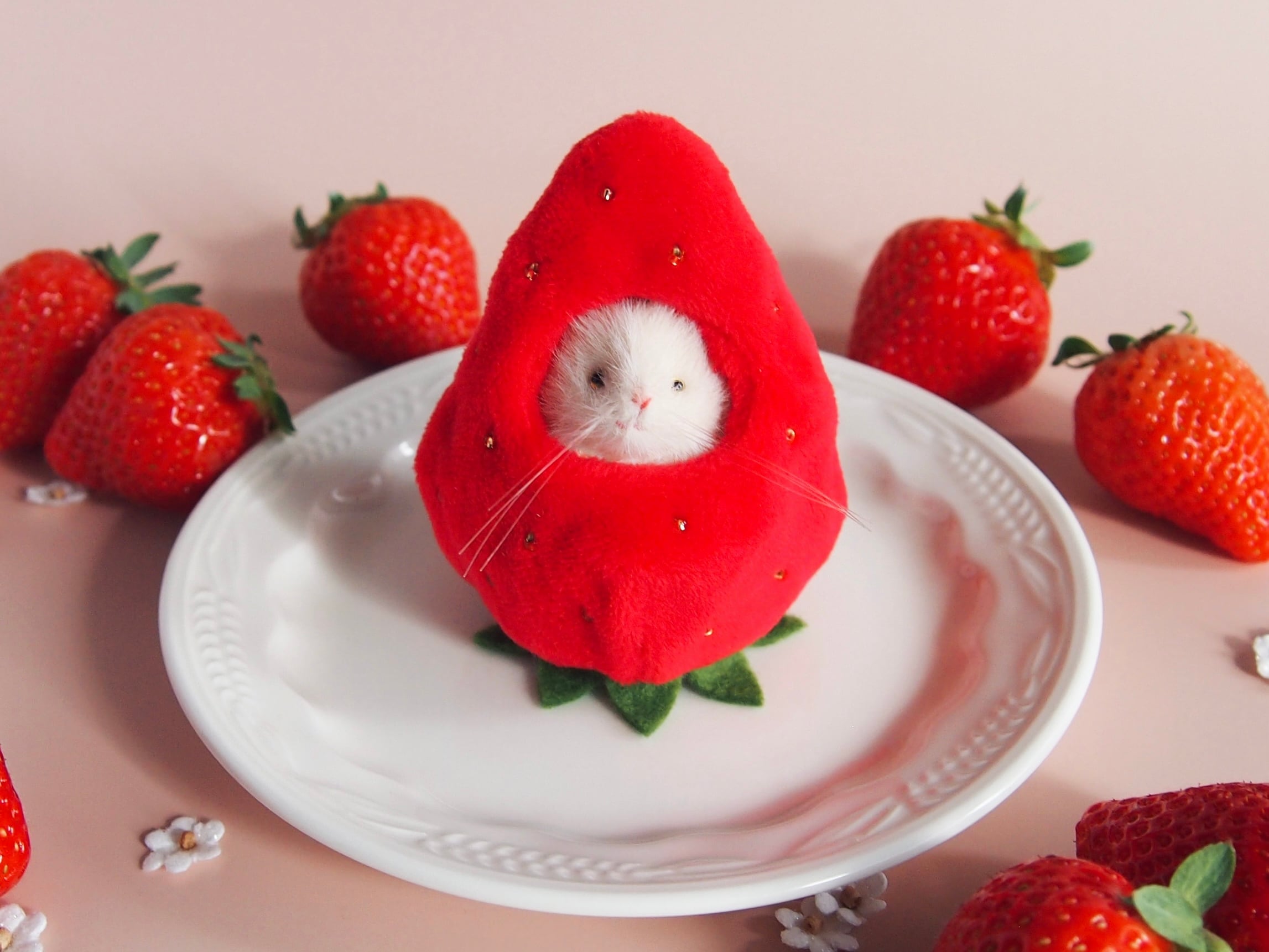 ぬいぐるみ | MISUMI YURI Onlineshop 三角ユウリ マウス ぬいぐるみ