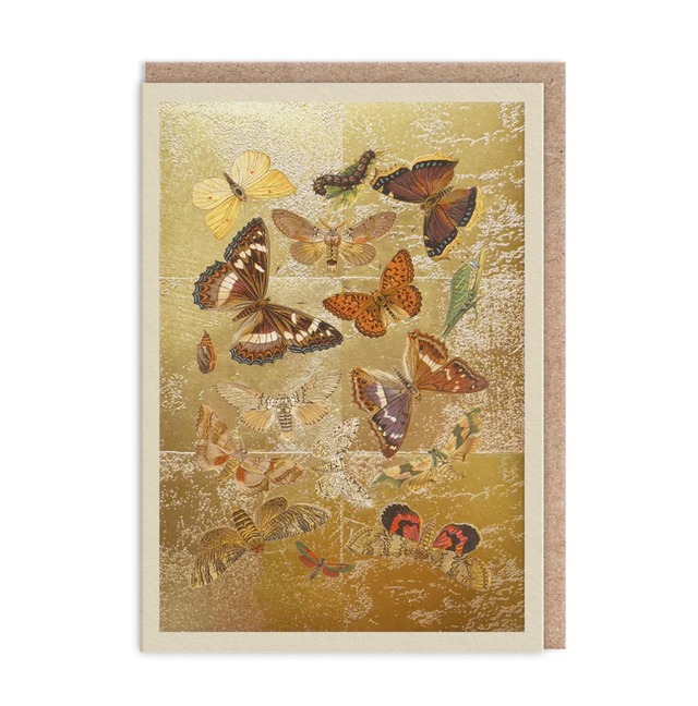 Lepidoptera Greeting Card