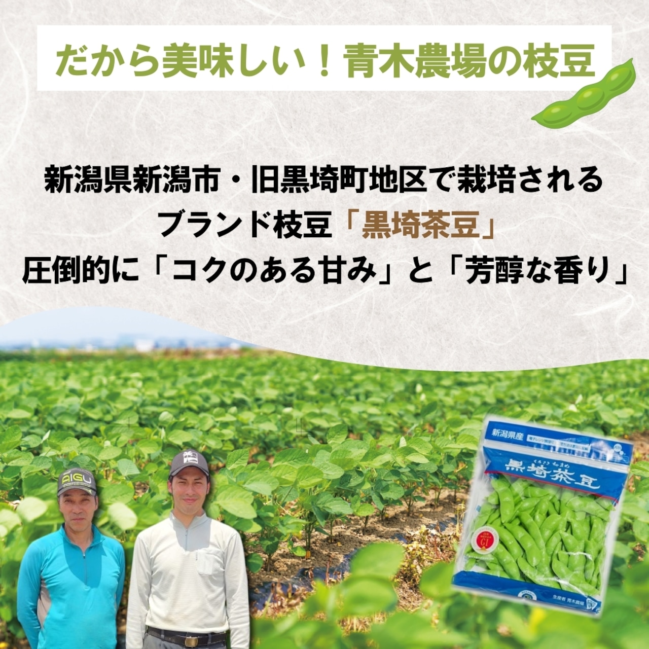 新潟県産 青木農場 枝豆 黒埼茶豆 250g × 6袋 (1.5kg)朝採り えだまめ くろさき茶豆 ちゃまめ 高級 新潟産 数量限定 送料無料 お中元 御中元 ギフト プレゼント 食べ物 贈り物 贈答 お取り寄せ 産地直送 クール便 冷蔵便 新潟県