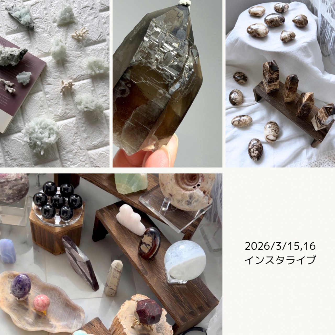 meruruさま専用出品  3/22,23ライブ分