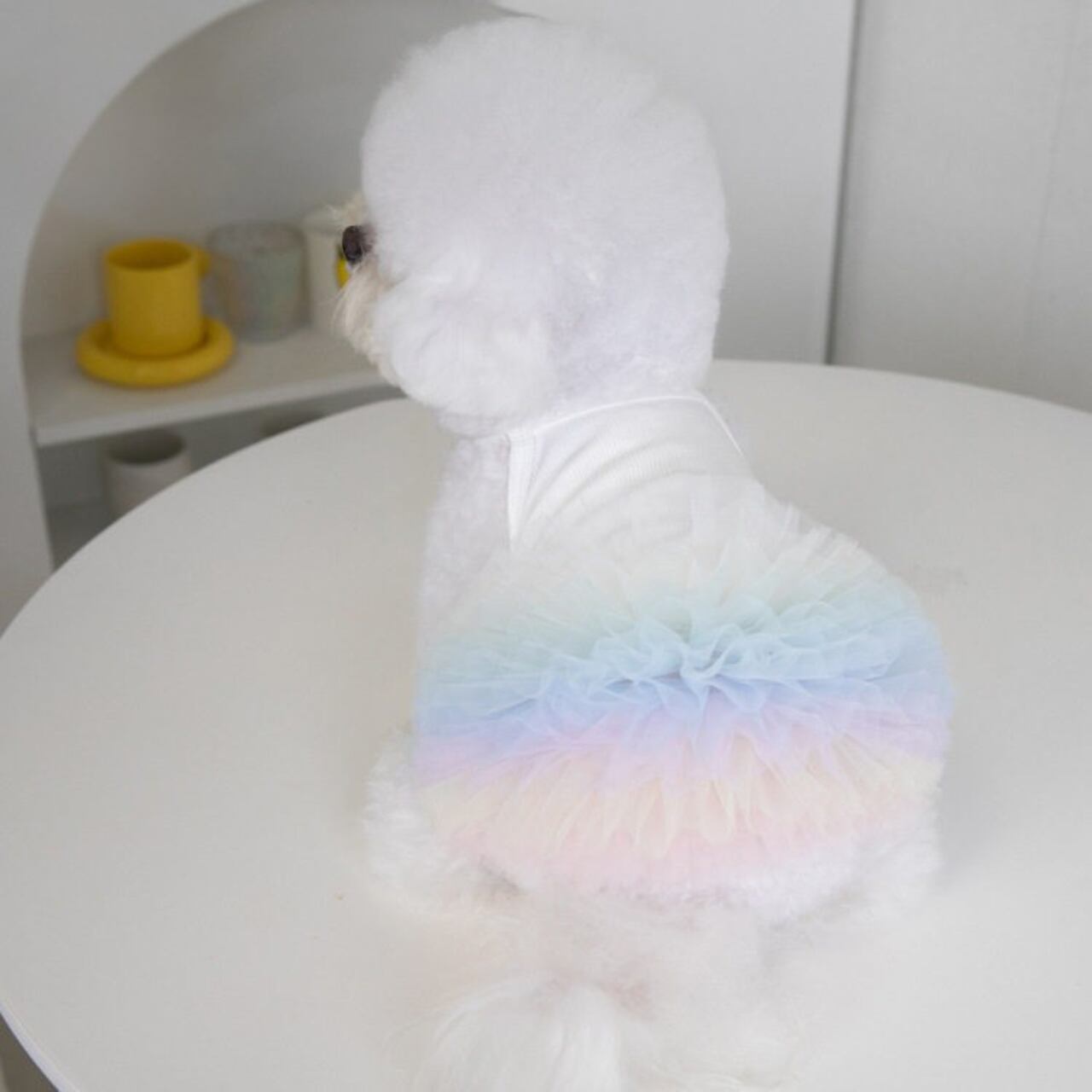 Dog パステル チュチュ ワンピース Pet12