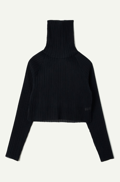 お問い合わせ商品【22AW】LEINWANDE ラインヴァンド / Pleats Turtleneck Cropped Top / Black