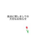 発送及び送料につきまして