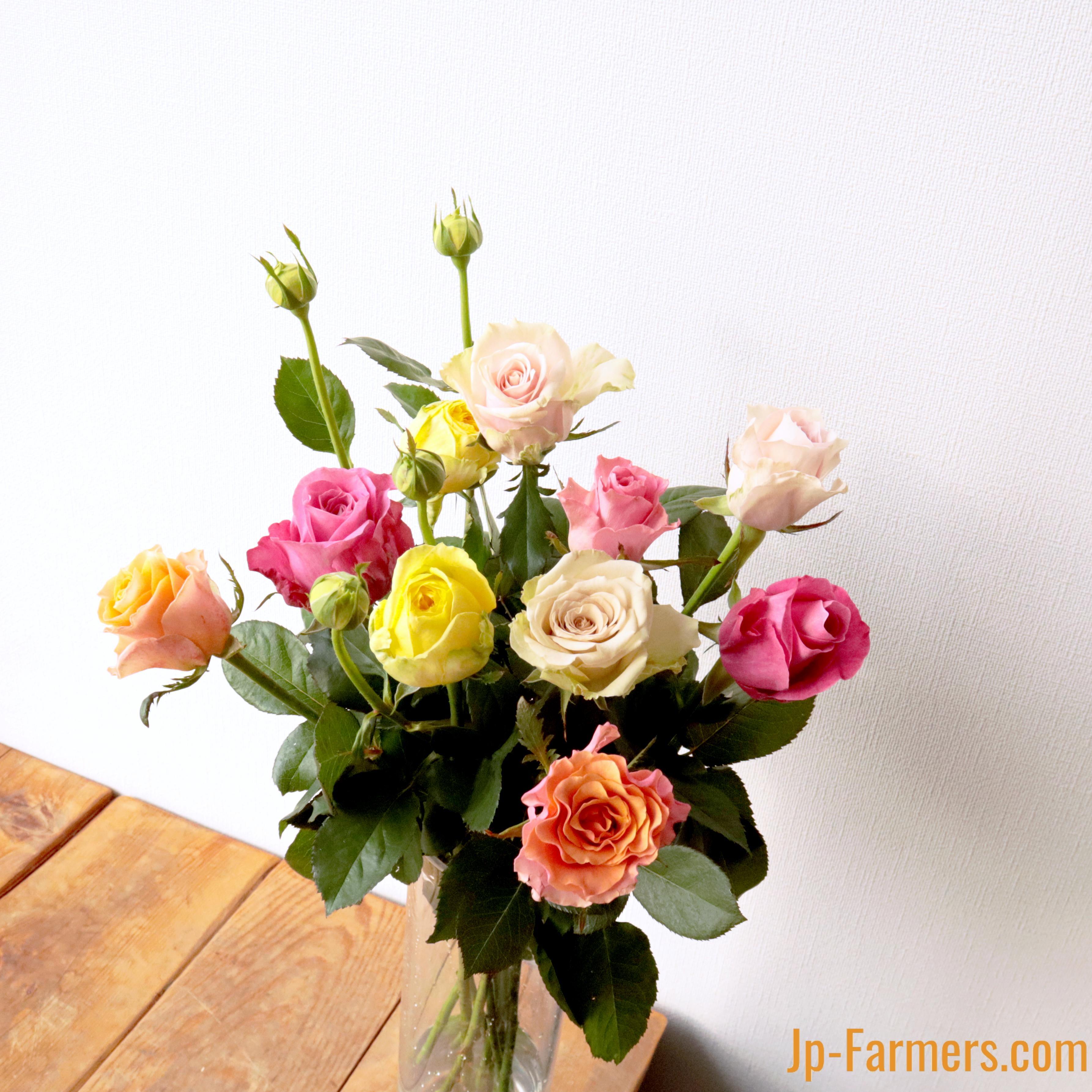 バラエティ豊富なバラを楽しめる！バラアソート 20本 | 新鮮お花問屋