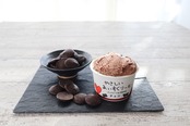 新やさしいあいすくりーむ　チョコ