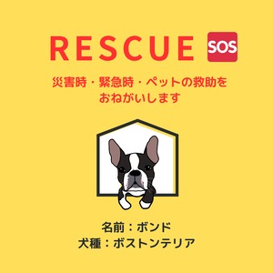 塩ビ素材ステッカー1枚　【レスキュー】　