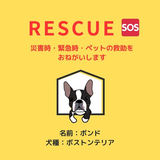 塩ビ素材ステッカー1枚　【レスキュー】　