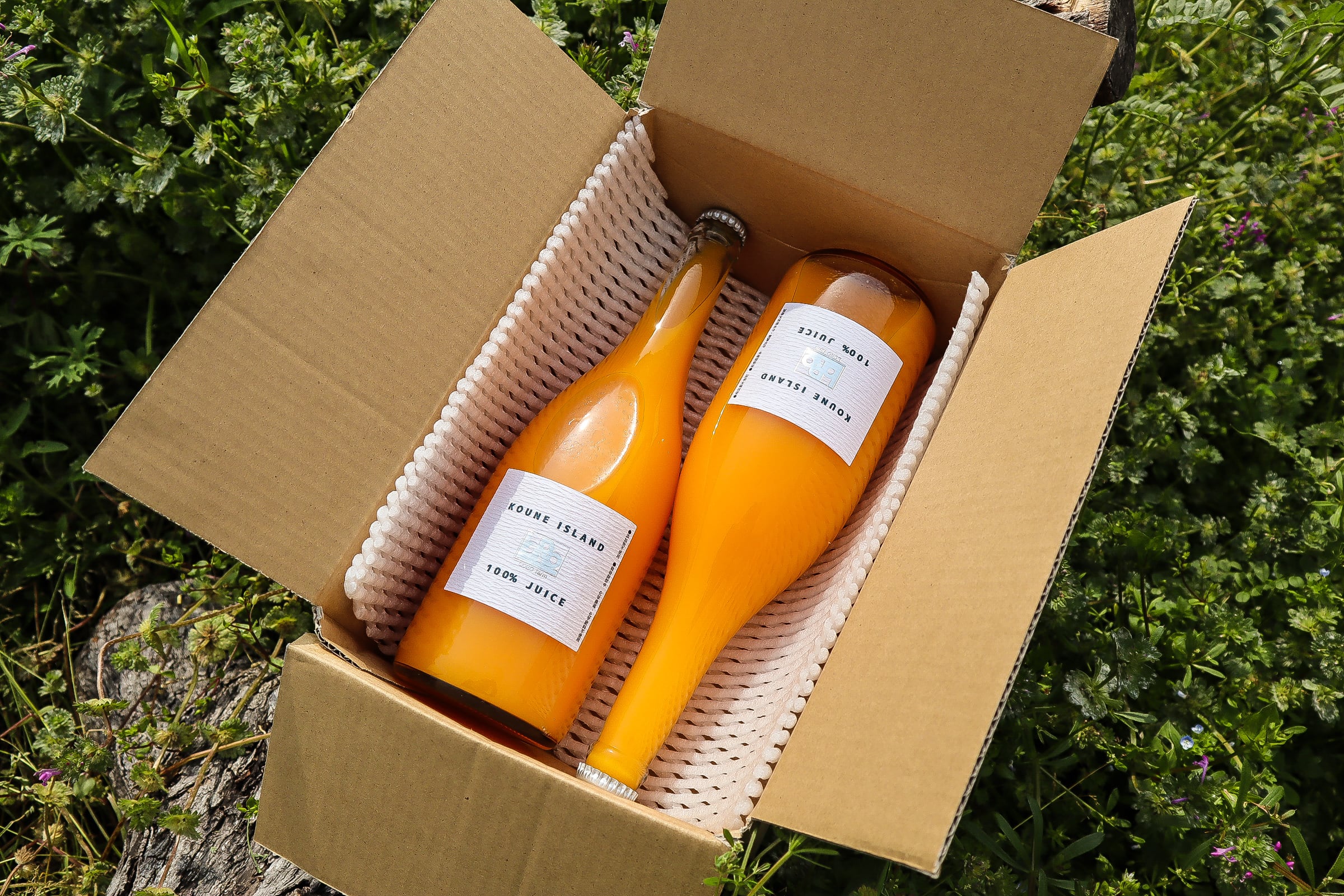 【ご自宅用】高根島みかんジュース(720ml×2本セット)