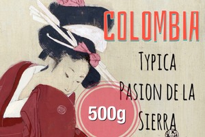 コロンビア　ティピカ｜お得な500g コーヒー豆【シティロースト】
