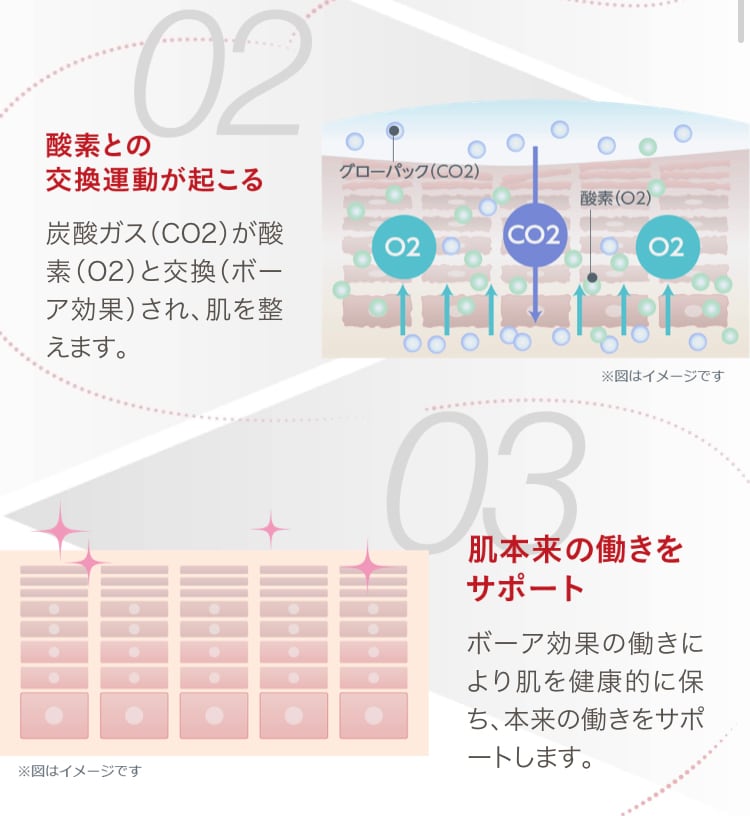 エニシーグローパック10セット