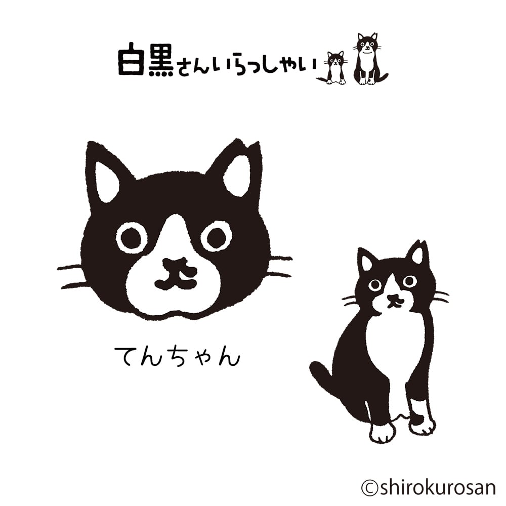 白黒さんいらっしゃい×Miita 靴下 | KNOCK NOK