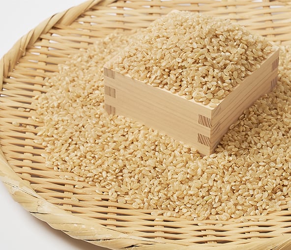 コシヒカリ玄米24キロ