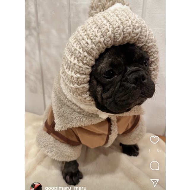 ☆犬服ハンドメイド☆フレブル・パグのお洋服