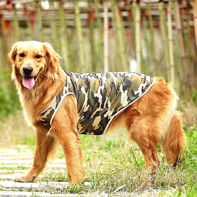 犬服  ペット服 大型犬 Ｔシャツ メッシュ アーミー濃緑系:6XL.7XL