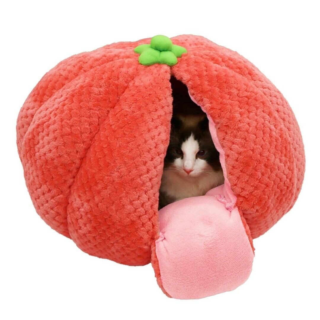 ファルミナ オーシャン ニシン（オレンジ入り）成猫用 1.5kg ねこの