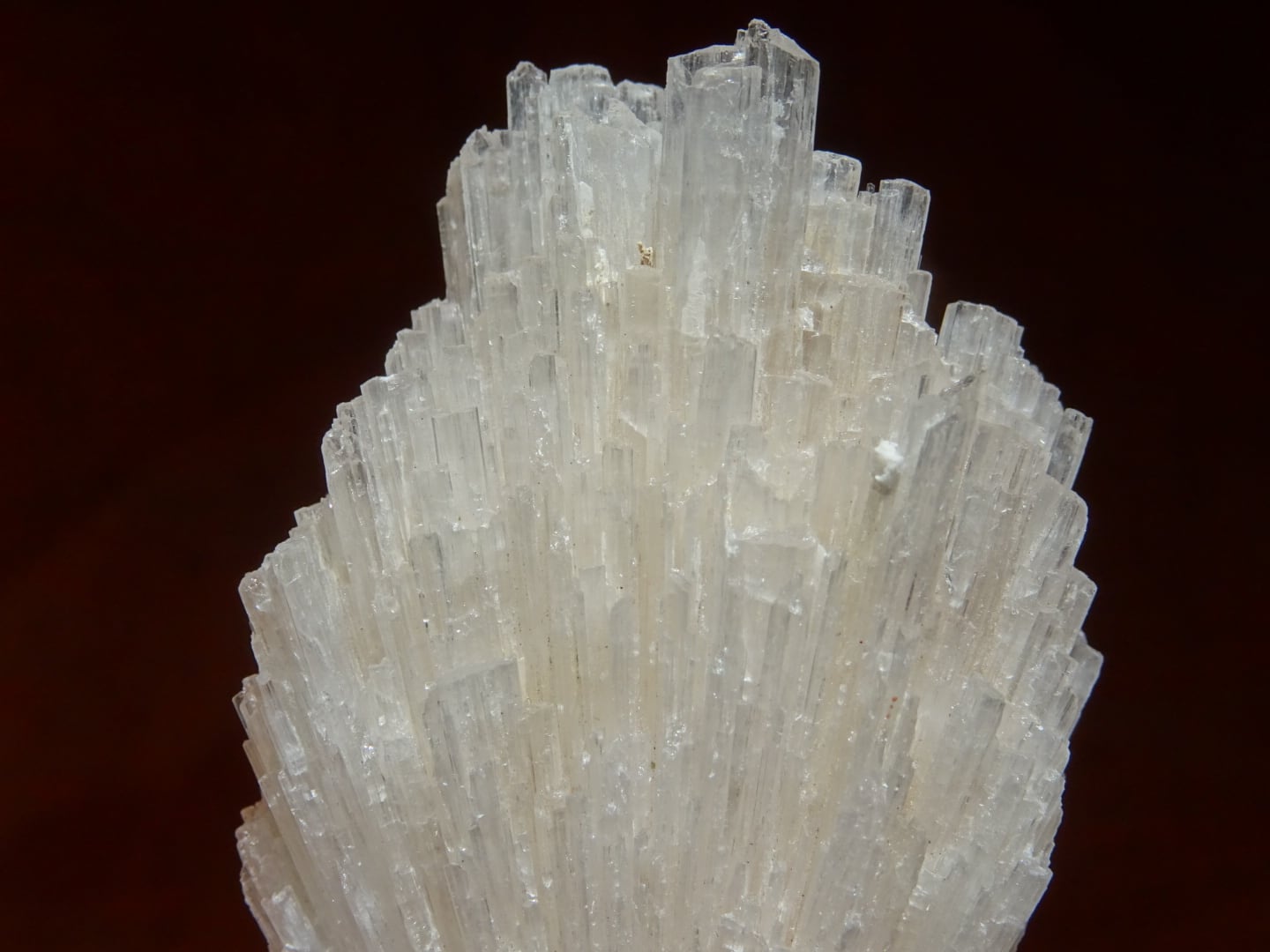 スコレサイト ~月の神殿~