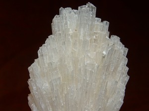 スコレサイト ~月の神殿~