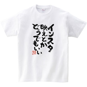 インスタ映えとかどうでもいい ka300-13 おもしろtシャツ 漢字 文字 メッセージTシャツ