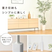レック 激落ちくん 高密度ブラシ トレループ Premium (ハンディ伸縮タイプ ・ グレー) 最長約93cm くり返し使える ホコリ取り/ケースに通すとモップがキレイに/スライドケースでホコリをまとめて捨てられる