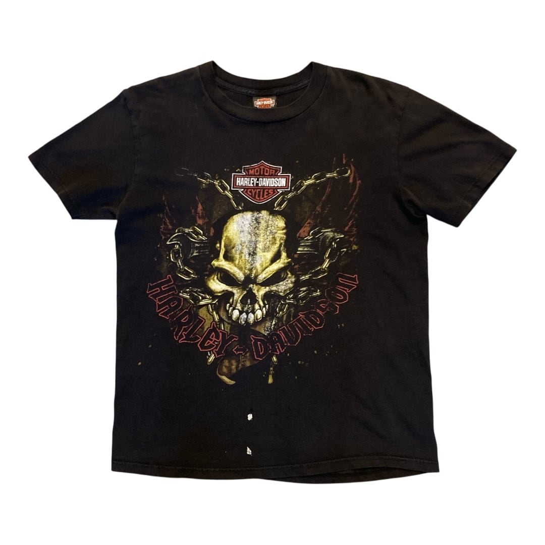 F391】80s Harley-Davidson T-SH hanes size XL made in USA / 80年代