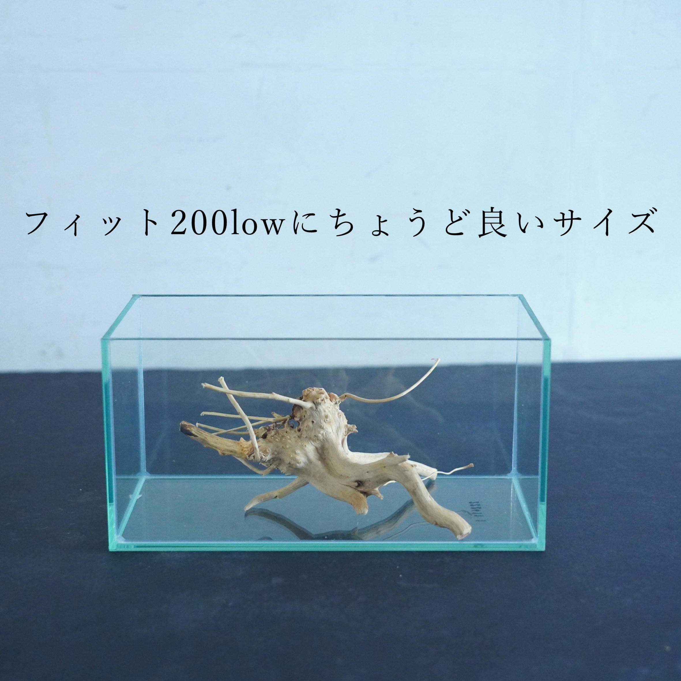 テラリウム用流木ナチュラルブランチ【SSサイズ3個入り】◇形状